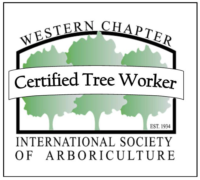 Certified Tree Worker