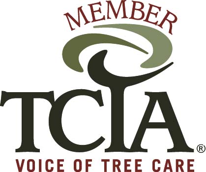 Voice of Tree Care Member