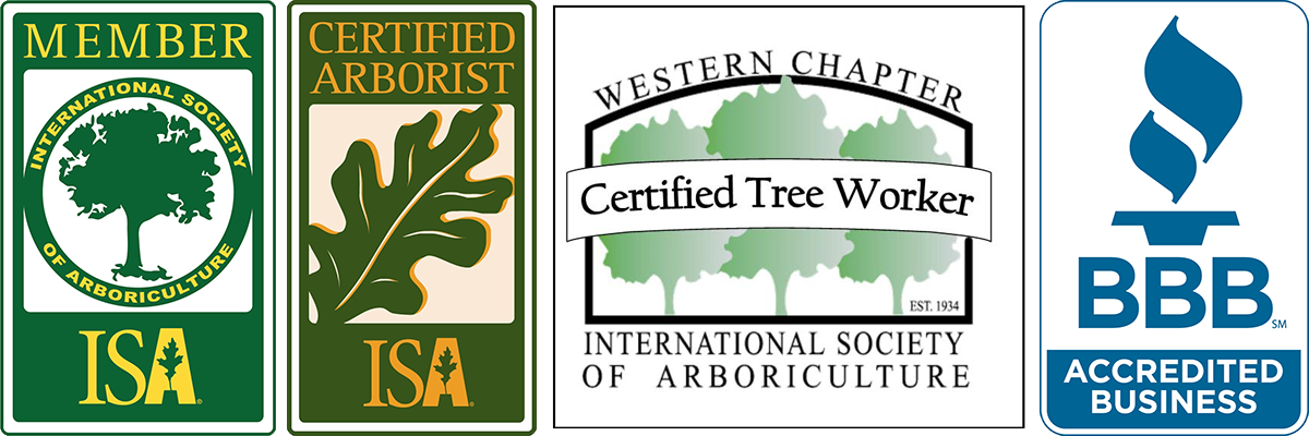 BBB A Rating | Certified Arborists | Certified Tree Workers